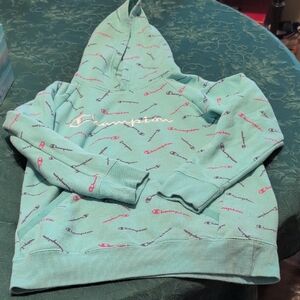 Champion Mint Green Hoodie